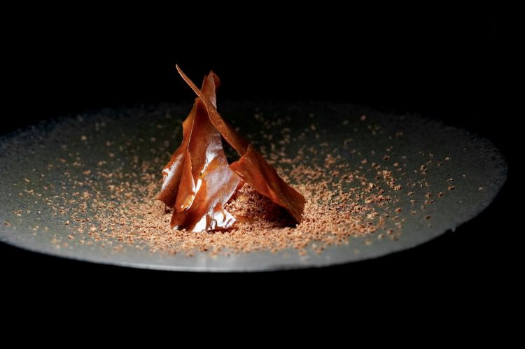 Foie gras marinato al Marsala e Porto anno 1980, polvere di koji tostato, chips di koji tostato e cioccolato affumicato, melassa di cipolle