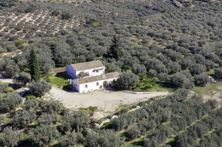 Frantoio Cutrera a Chiaramonte Gulfi