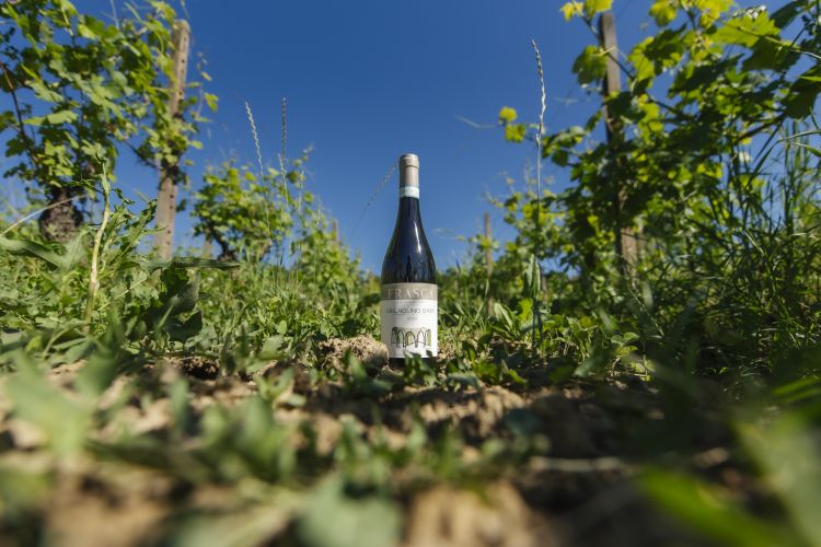 Il Grignolino d'Asti tra tradizione e sguardo al futuro
