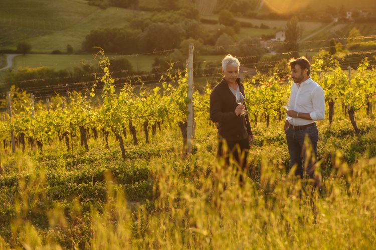 Curt Frasca e Matteo Gerbi in vigna: dal loro inco