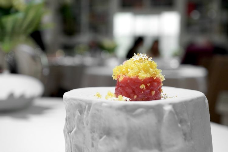 Tartare di manzo, fiori di sambuco e bottarga di tuorlo d'uovo
