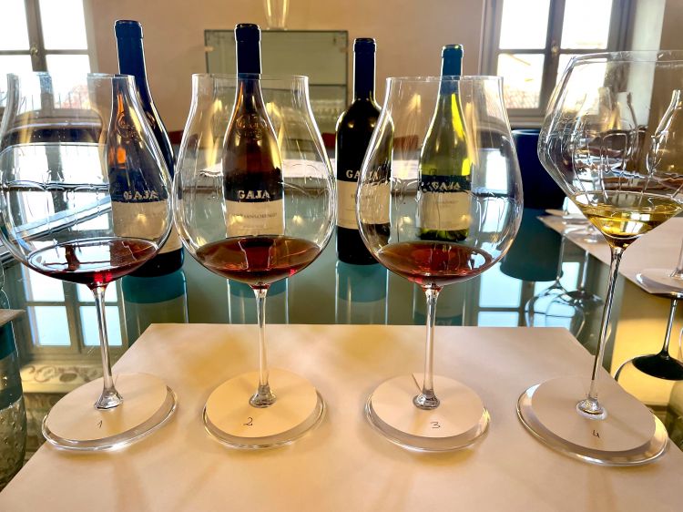I vini da noi degustati