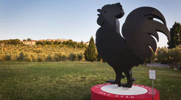 Il Gallo Nero, simbolo della denominazione
