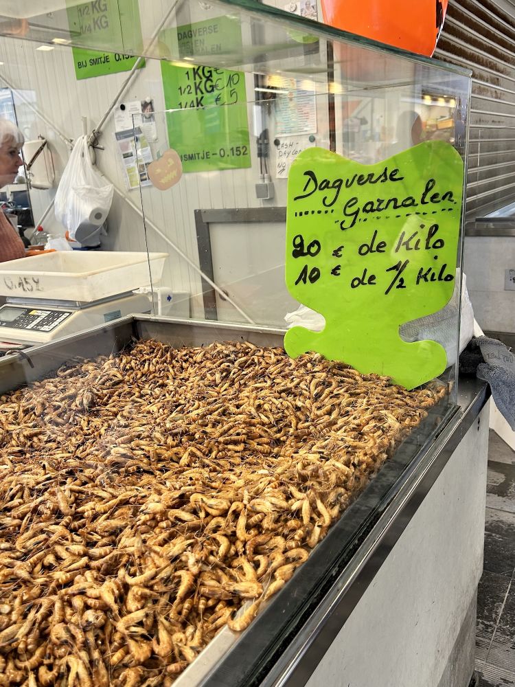 Shrimps at Ostend's Vistrap Market