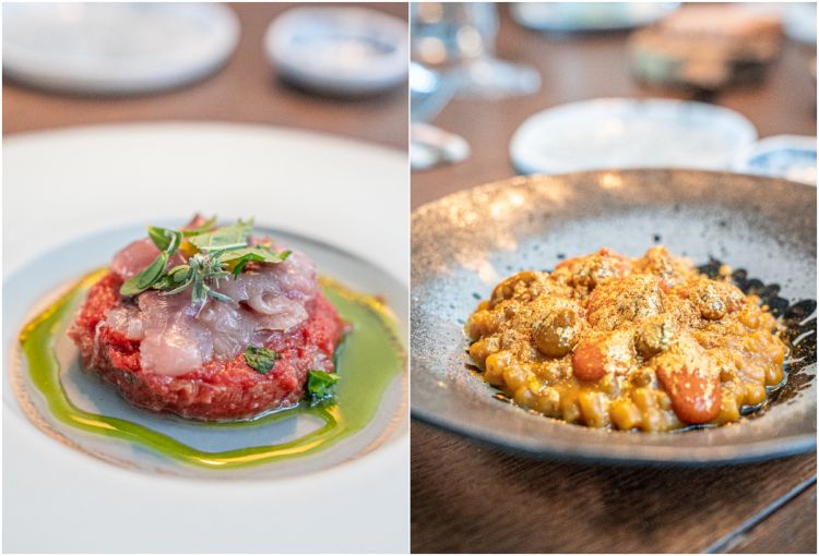 Assaggi di Gargano: sulla sinistra Acquasale di pane, pomodoro, muggine marinata agli agrumi ed erbette, di Domenico Cilenti. Sulla destra Tubettino risottato in acqua di ciliegino giallo Rosso Gargano, oro edibile, olio al tartufo d’Alba, gel di pelato arrostito e gel di ciliegino giallo aromatizzato alle erbe di Costa, di Libero Ratti