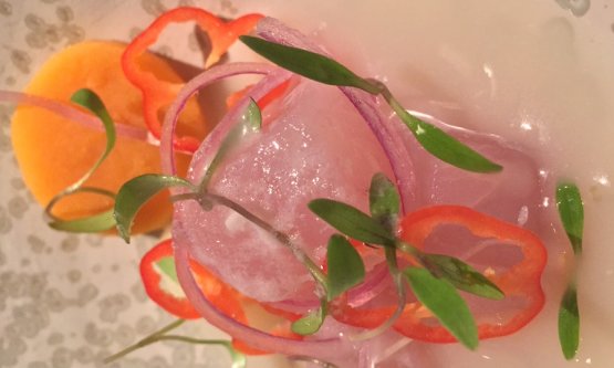 L'ultima interpretazione del ceviche da parte di Gaston Acurio a Lima
