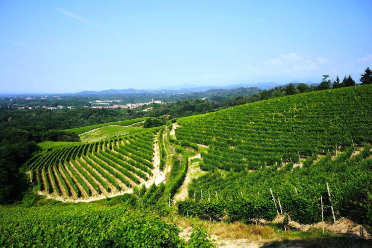 Un affascinante scorcio delle Colline Novarese
