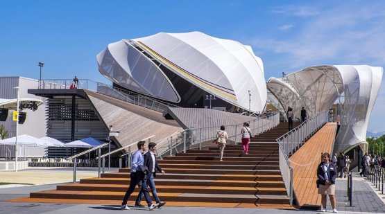 The title of the German Pavilion at Expo is Field