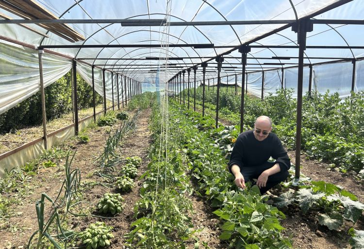 Dezio in una serra di Villa Corallo