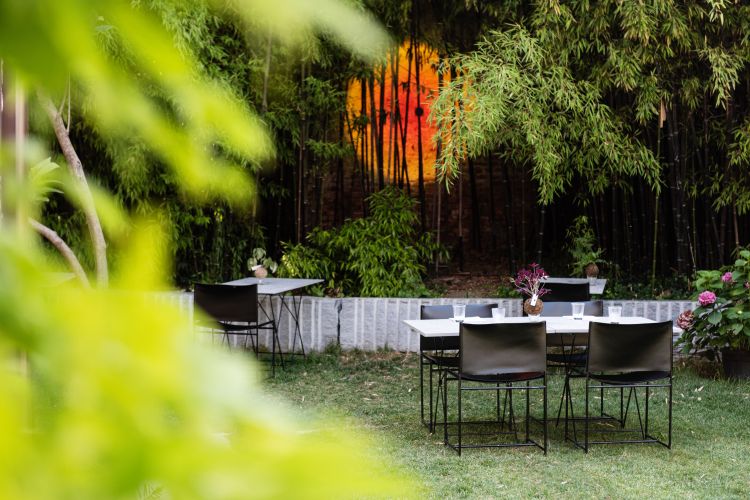 Il giardino del Motelombroso