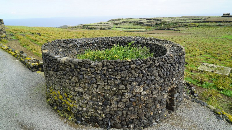 Il giardino pantesco di Salvatore Murana
