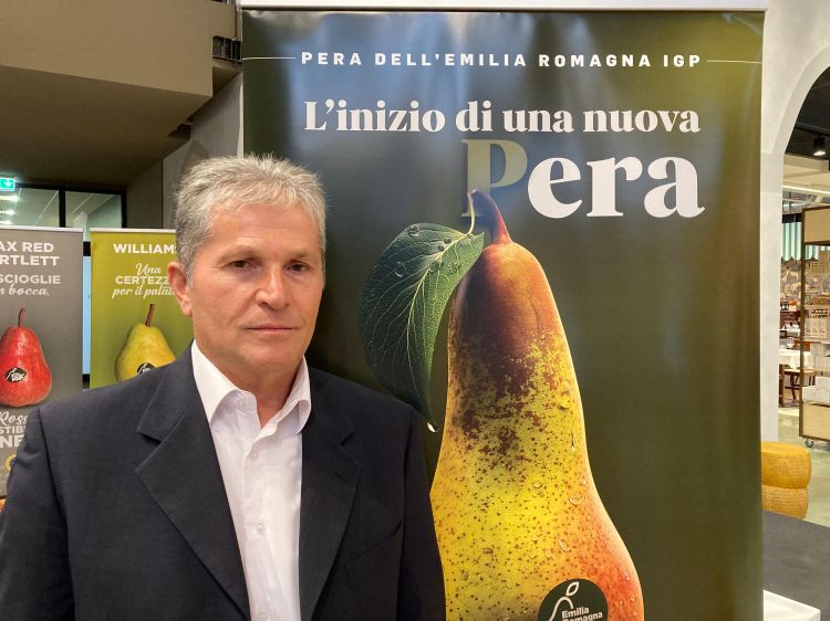 Giuliano Donati, Presidente del Consorzio di Tutel