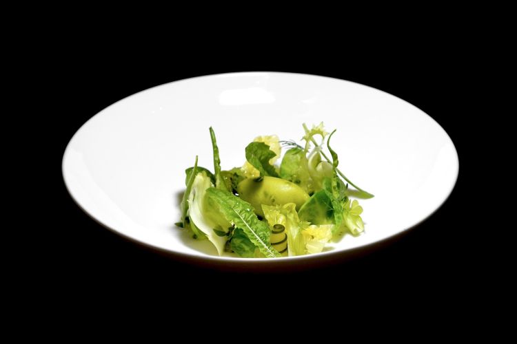 Insalata verde: sorbetto al cetriolo e mela verde, granita di cetriolo, consistenze veg e frutta (tarassaco, cicoria selvatica, cavolino di Bruxelles, broccolo romano, mela verde, raviolo con kiwi e guacamole, zucchine in carpione), succo di mela verde e olio all'aneto
