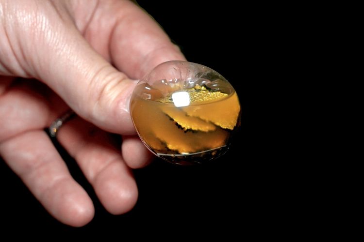 Eureka, da far esplodere tra i denti: brodo di marrone rosso, tartufo bianco d'Alba