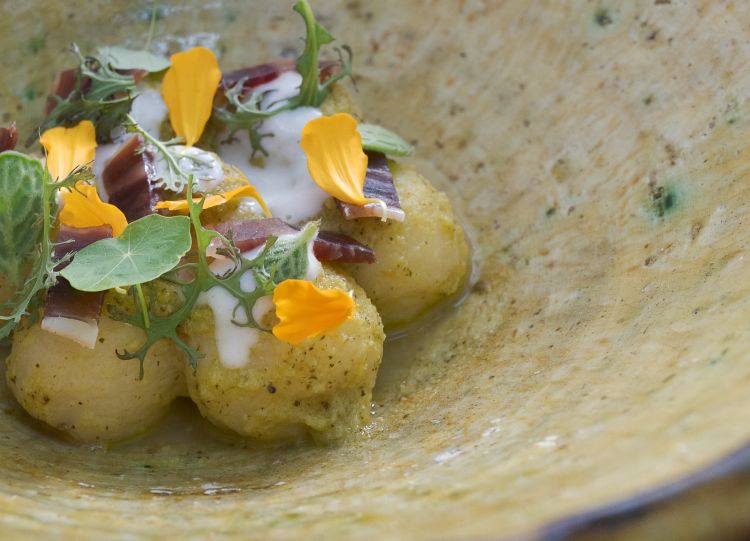 Gnocchi di patata invecchiata, pesto di fiori di zucchina e origano cubano, feta e pancetta di vitello