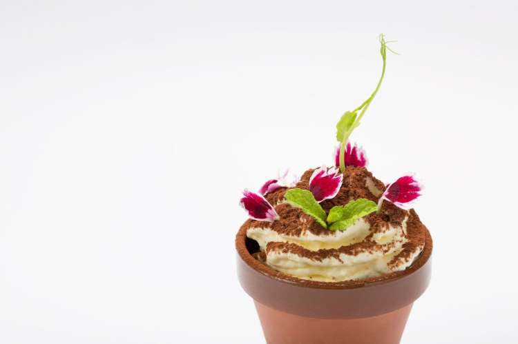 Per una volta, in un ristorante asiatico anche dessert degni di nota: questo è il Terra-Misù, ossia una mousse di mascarpone, granita di caffè al ginseng, croccante di mandorla feulletine
