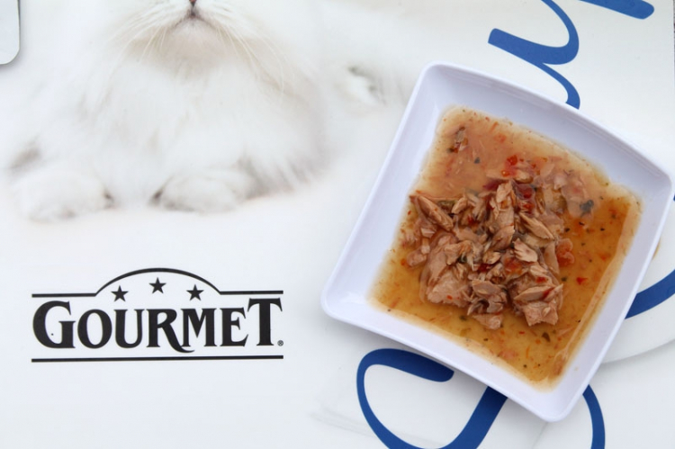La parola "gourmet" è diventata anche un marchio di una linea di cibo per gatti. Sarà anche buonissimo, i felini sembrano apprezzare. La questione è un'altra. Zinola si chiede: non si abusa forse del termine?
