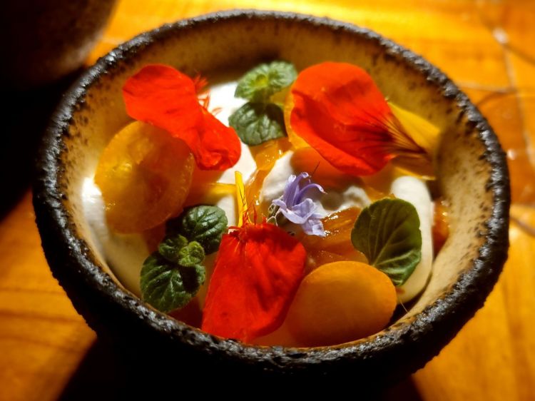 Granita di Agrumi, nepetella e rosmarino