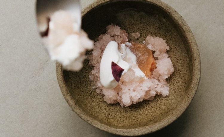 Sorbetto nespole, yogurt e oxalis