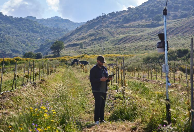 Il progetto di Halaesa porta anche nuovi posti di lavoro "perch&egrave; - spiega Mastrandrea - vogliamo che i piccoli paesi non si spopolino e che la terra resti un patrimonio su cui credere"
