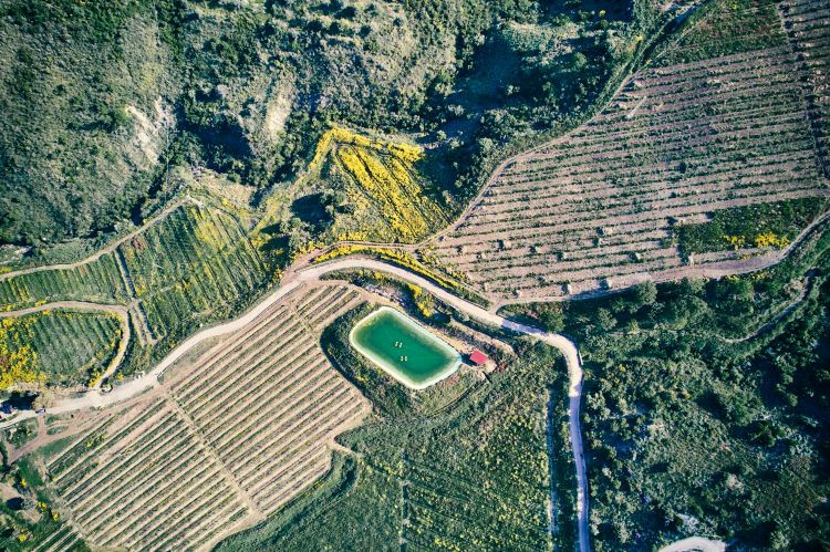 L'acqua &egrave; fondamentale per la crescita degli avocado e tutti i terreni dell'azienda ne hanno accesso diretto anche grazie ai bacini di raccolta realizzati in tutte le propriet&agrave;&nbsp;&nbsp;
