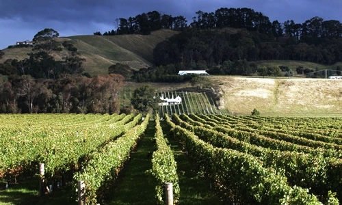 Uno scorcio di Hawke's Bay, una delle 16 regioni d