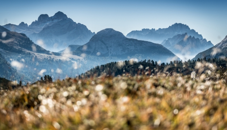 Tra le montagne dell'Alto Adige si mangia davv