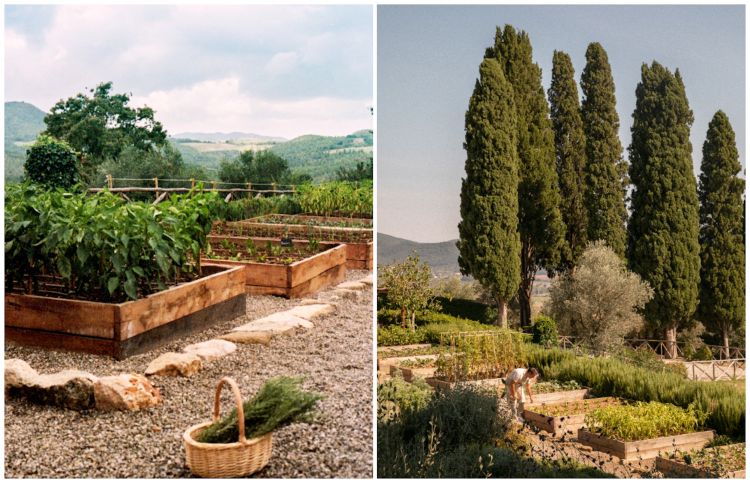 Orti e natura attorno al Castello di Casole
