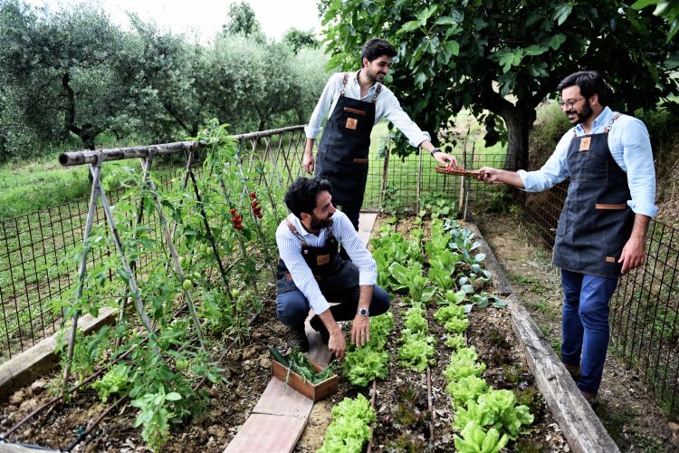 I tre cugini al lavoro per raccogliere gli ingredienti da... imbottigliare
