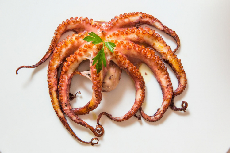 Polpo verace secondo tradizione Chinappi – octopus following the traditional style of Chinappi
