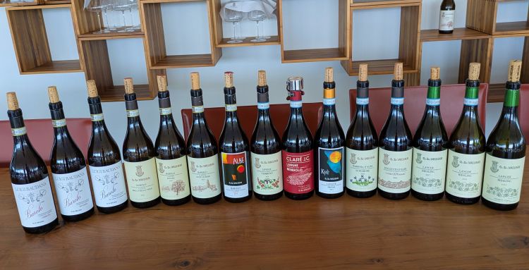 I vini in degustazione
