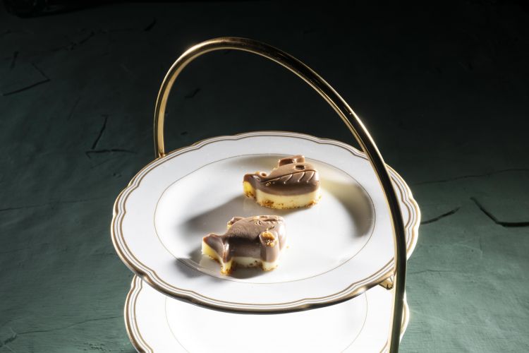Pralina al cioccolato con spine cotte e frollate