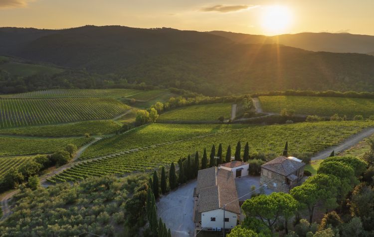 Pinino è un'azienda storica di Montalcino, na