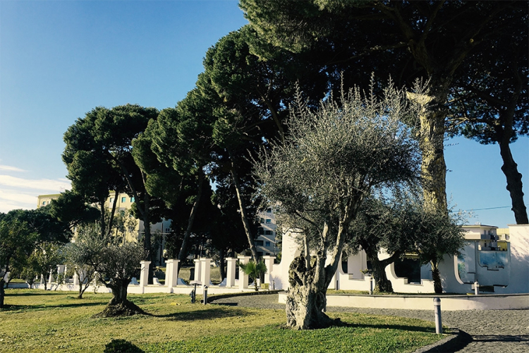 Il giardino di Tenuta Villa Guerra, all'interno della quale si trova il ristorante Josè
