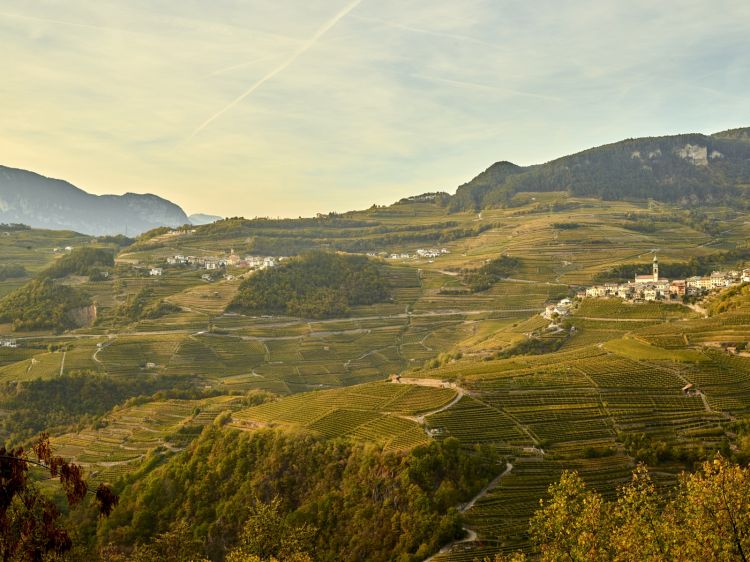 La Val di Cembra è stata dichiarata “Paesaggio rurale storico d'Italia” dal Ministero delle Politiche Agricole, Alimentari e Forestali
