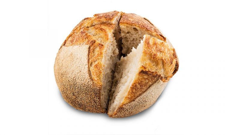 2019: Il Pane di Niko Romito

«Ogni anno, scegliamo il piatto simbolo del congresso con una duplice finalità - spiegava l'anno scorso Paolo Marchi - La prima, evidenziare in un'immagine il tema stesso che abbiamo scelto, in questo caso Il Fattore Umano: Costruire Nuove Memorie. Ed è evidente la funzione evocativa di questo alimento, che innerva la nostra storia eppure - e veniamo al secondo punto - viene da qualche tempo proposto da uno chef come Niko Romito con prospettiva e dignità nuove» recuperandone insomma una centralità che fa parte della cultura mediterranea: companatico è tutto ciò che lo accompagna, e non viceversa, ossia il Pane è cardine, il resto alla bisogna (cumpanatĭcum nel latino medioevale, ossia cum pane, con il pane)