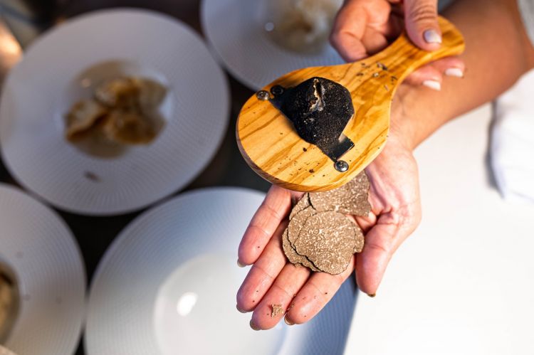 Il tartufo nero del Matese