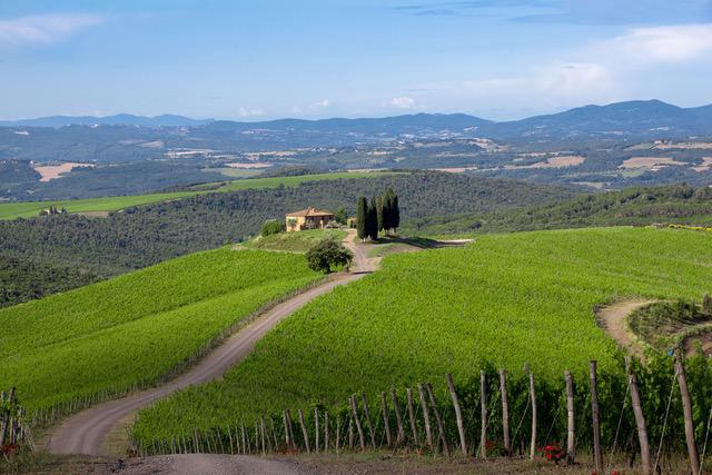 La tenuta Castiglion del Bosco
