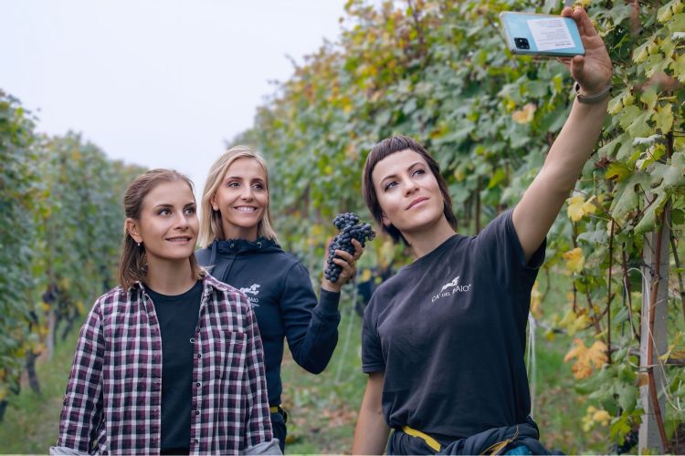 Federica, Paola e Valetina Grasso in vigna: la nuo
