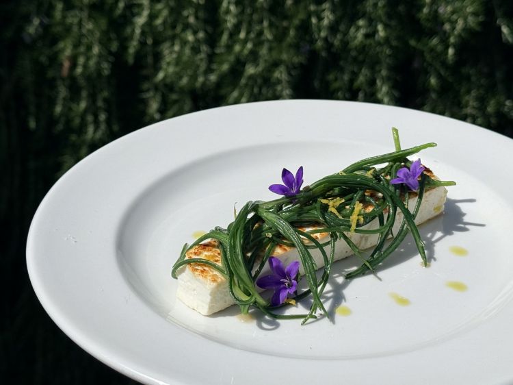 Ricotta piastrata, agretti e limone
