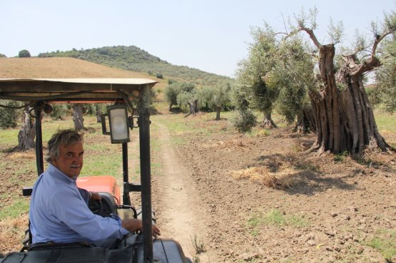 Roberto Ceraudo, agricoltore e proprietario dell&#