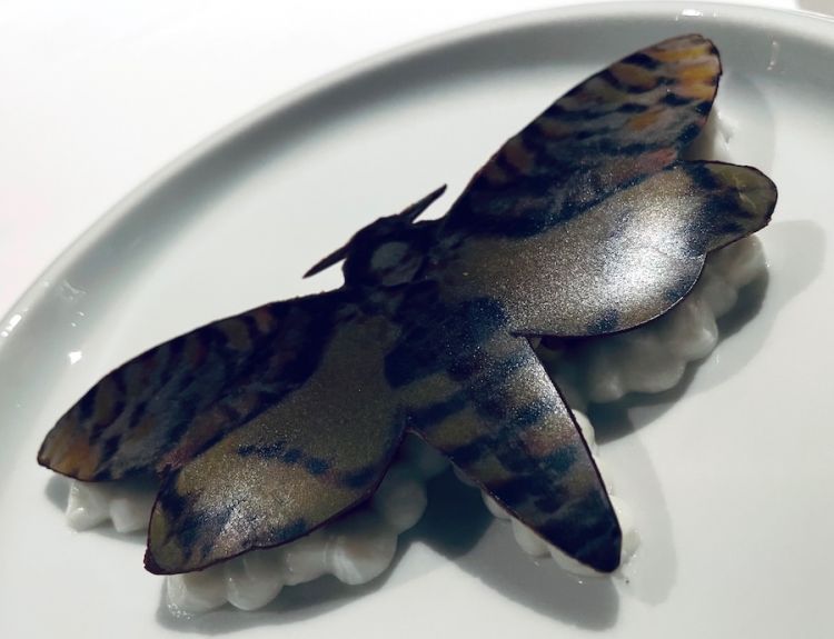 La falena di cioccolato, simbolo del 13° menù dell'Imago