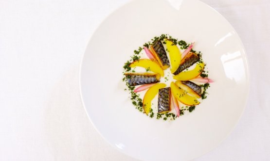 Minestra di burrata e sgombro, il piatto presentato da Fabrizio Ferrari allo scorso World Oceans Day
