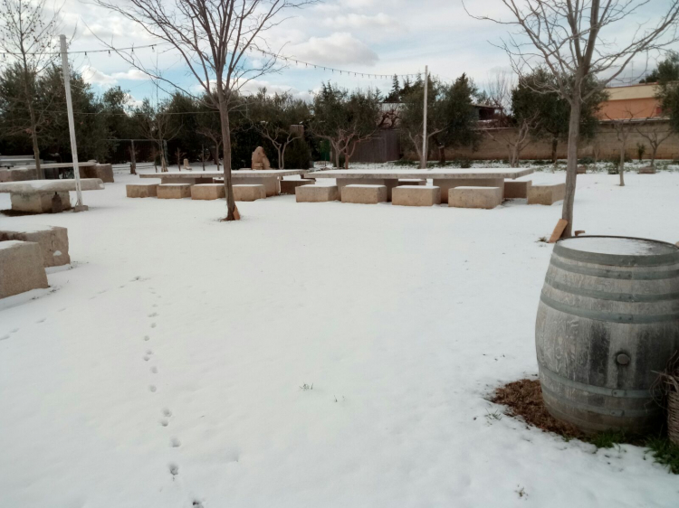 Ristorante e campi coperti di neve
