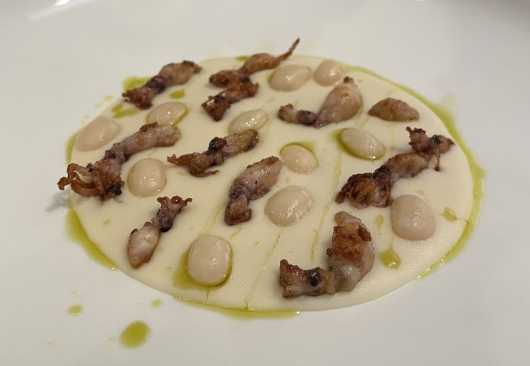 Crema di fagioli di Pigna, calamaretti spillo scottati e olio al rosmarino
