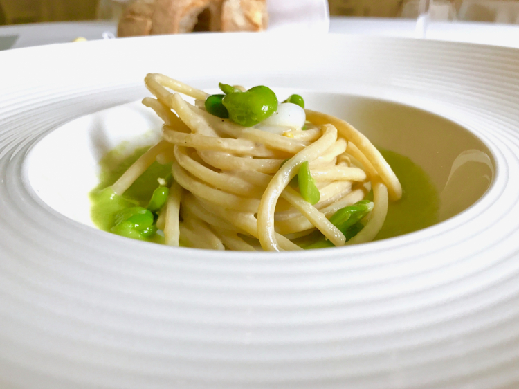 Spaghetto Cavalieri with allievi, broad bean cream and fresh broad beans 
