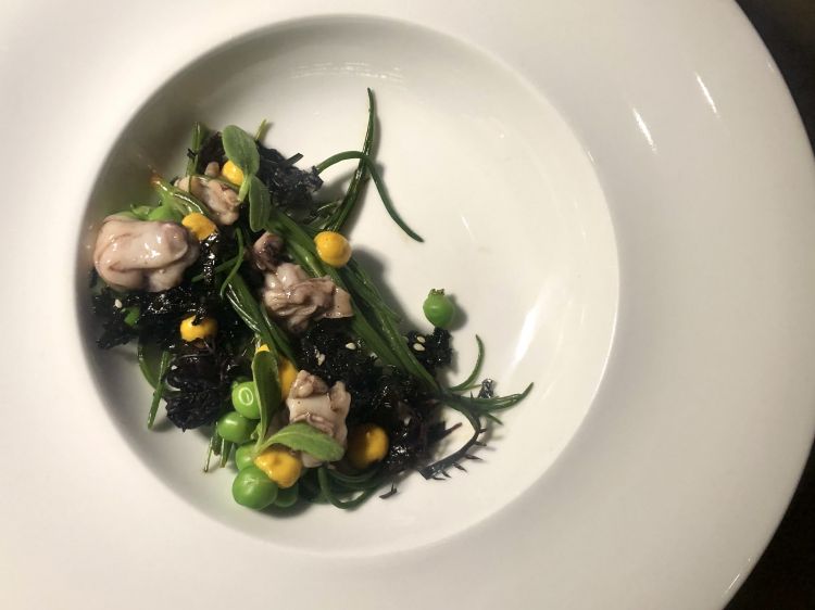 Mare freddo: agretti sbianchiti, piselli novelli, calamaretti spillo, acidulato di algarrobina, umeboshi, soia, crema huancaina con aji limo, alga yuyo
