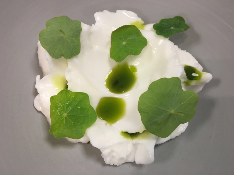 Jus glace des citron di Roberta: sorbetto al limone con una pasta di oxalis e nasturzio
