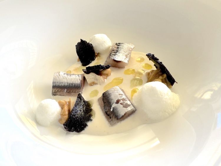 Milkshake di aringa, alici, noci e luppolo