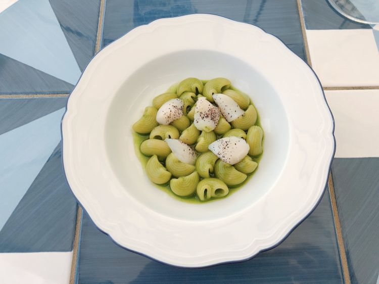 Gentile snail pasta, scallops from Chioggia, powdered mace, seaweeds, parsley sauce and anchovy colatura: this pasta is almost refreshing, served just lukewarm, to enhance the chlorophyll of the celery and its union with the sweet scallop
